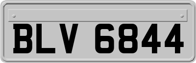 BLV6844