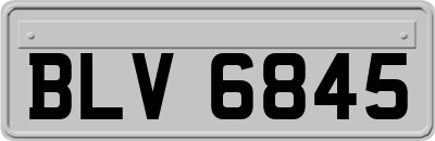 BLV6845