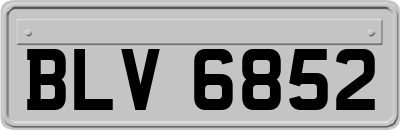 BLV6852