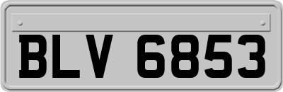 BLV6853