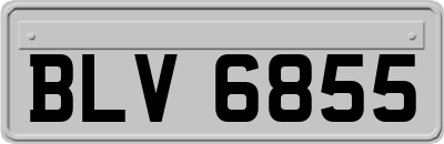 BLV6855