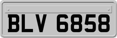 BLV6858