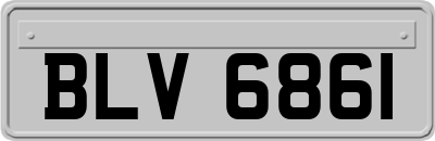 BLV6861