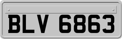 BLV6863