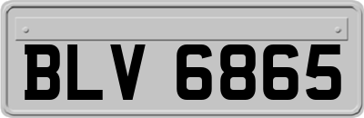 BLV6865
