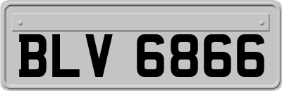 BLV6866