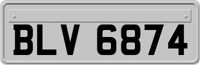 BLV6874