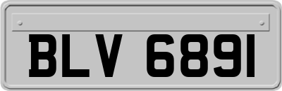 BLV6891