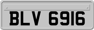 BLV6916