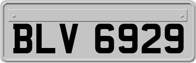 BLV6929