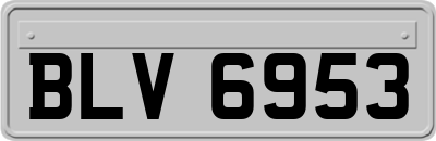 BLV6953