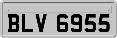 BLV6955
