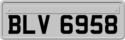 BLV6958