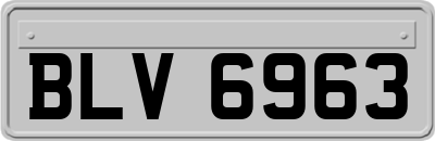 BLV6963