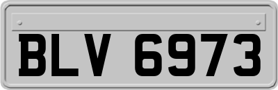 BLV6973