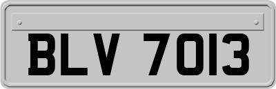 BLV7013