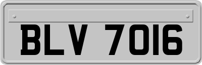BLV7016