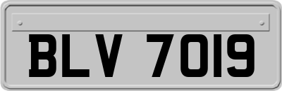 BLV7019