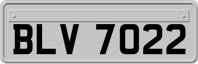 BLV7022