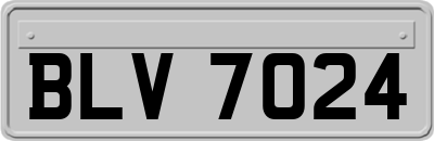 BLV7024