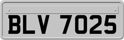 BLV7025