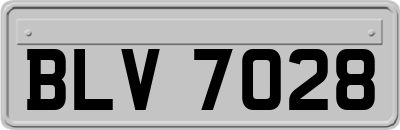 BLV7028