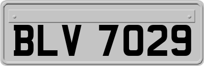 BLV7029