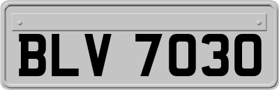 BLV7030