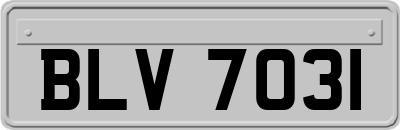 BLV7031