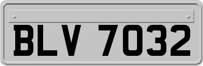 BLV7032