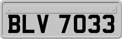 BLV7033