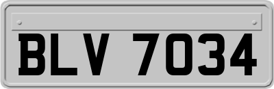 BLV7034