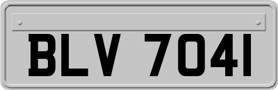 BLV7041