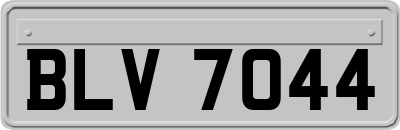 BLV7044