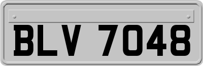 BLV7048