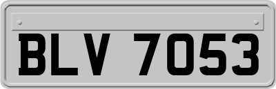 BLV7053