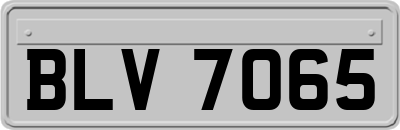 BLV7065