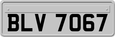 BLV7067