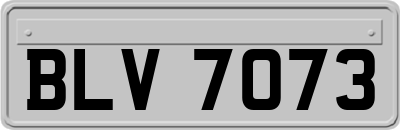 BLV7073
