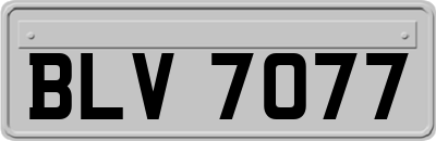 BLV7077