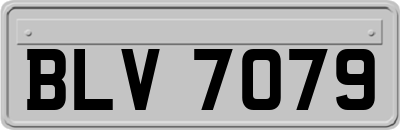 BLV7079