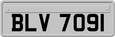 BLV7091