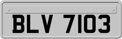 BLV7103