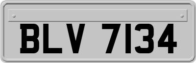 BLV7134