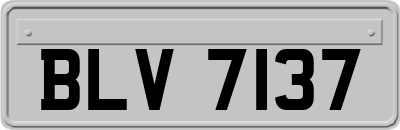 BLV7137
