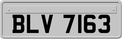 BLV7163