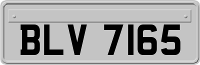 BLV7165