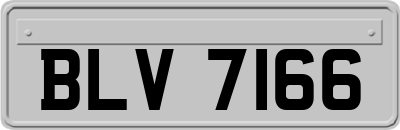 BLV7166