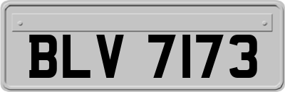 BLV7173