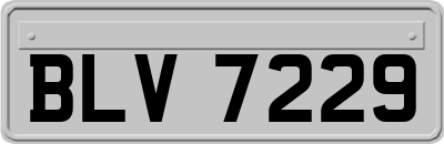 BLV7229